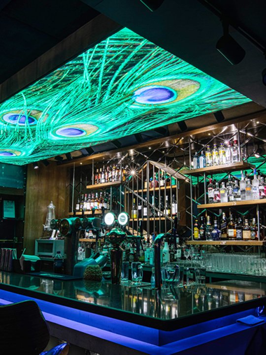 Peacock feather printed backlit stretch ceiling in a bar — aesthetic and design benefits