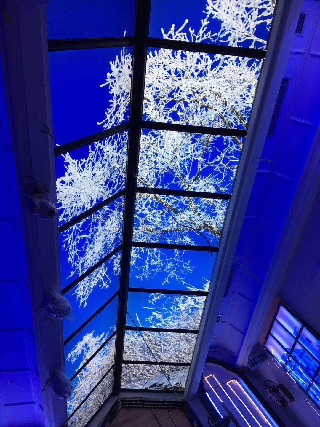 Grid Image